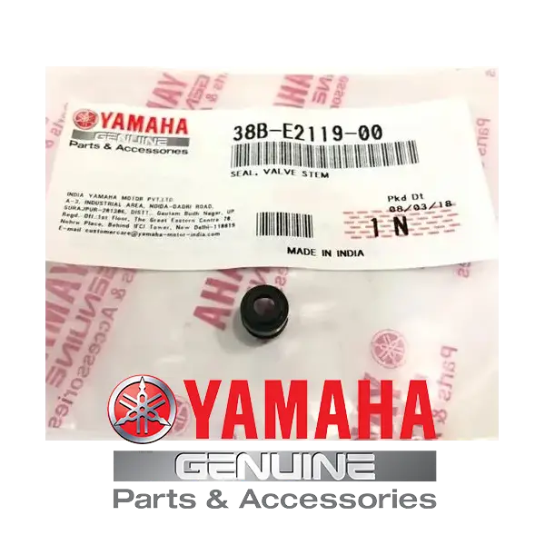 RETEN VALVULA FZ 15 R 15